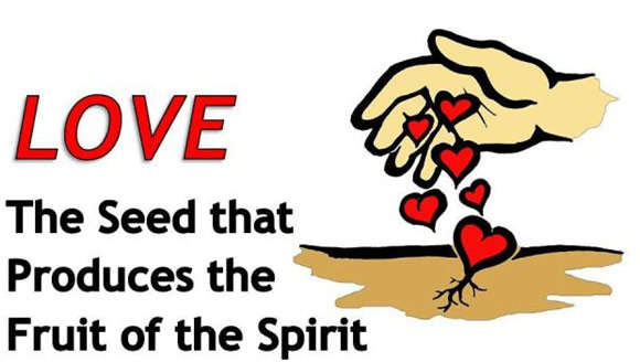 Love. the seed that produces the fruit of the spirit.